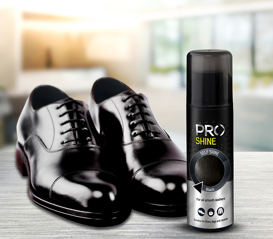 pro shine shoe polisher