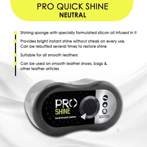 Pro Quick Shine