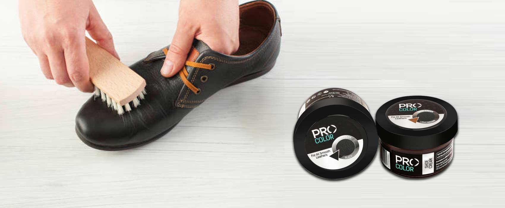 shoe polish kit