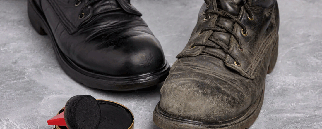 polish protect leather & nubuck shoes